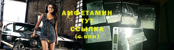 дмт Ельня