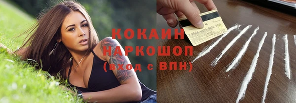гидра Заводоуковск