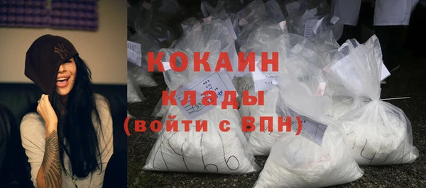 гидра Заводоуковск