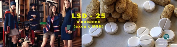 гидра Заводоуковск