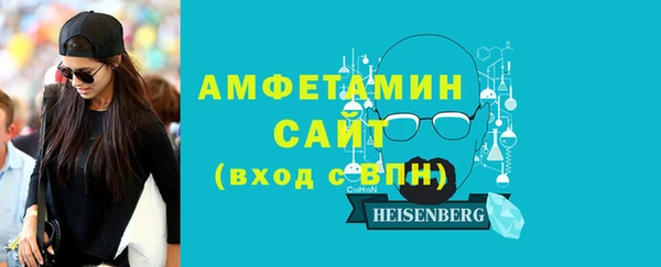 дмт Ельня