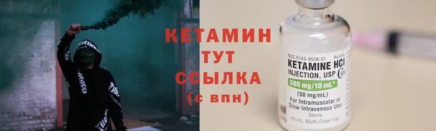 дмт Ельня