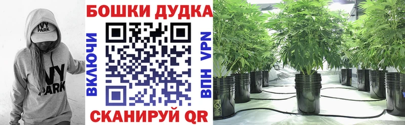 купить наркотик  Зарайск  hydra рабочий сайт  Бошки марихуана THC 21% 